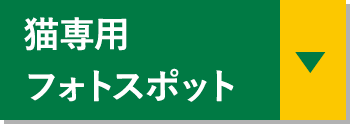 �L��p�t�H�g�X�|�b�g