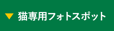 �L��p�t�H�g�X�|�b�g