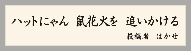 はかせ