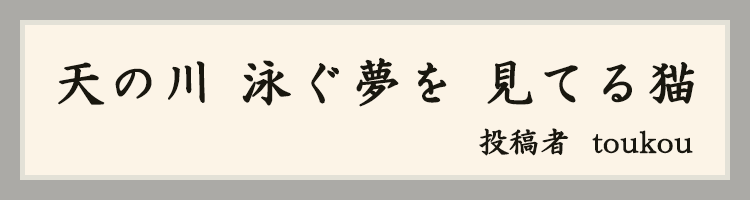 toukou