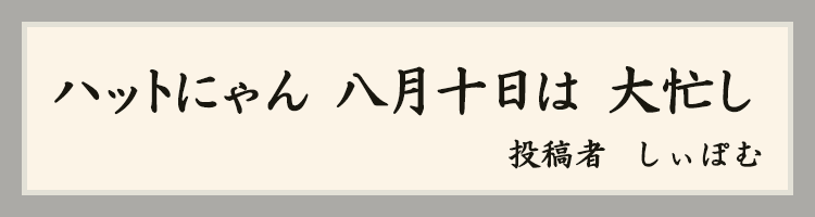 しぃぽむ