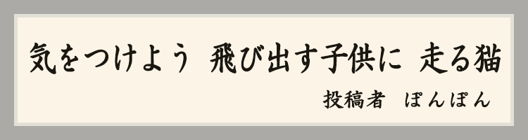 ハットにゃん賞