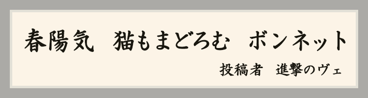 ハットにゃん賞