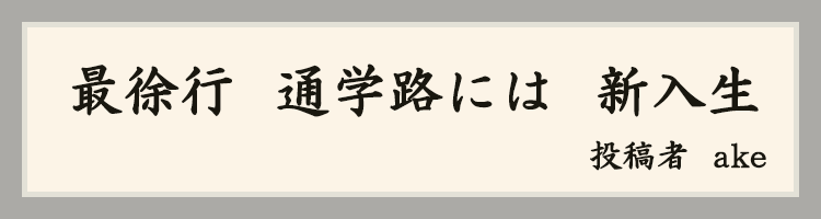 ハットにゃん賞