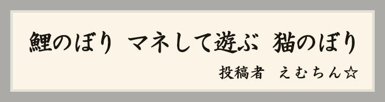 ハットにゃん賞