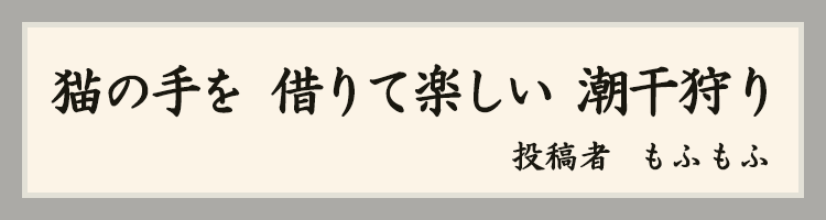 ハットにゃん賞