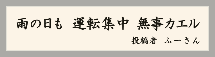 ハットにゃん賞