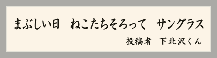 ハットにゃん賞