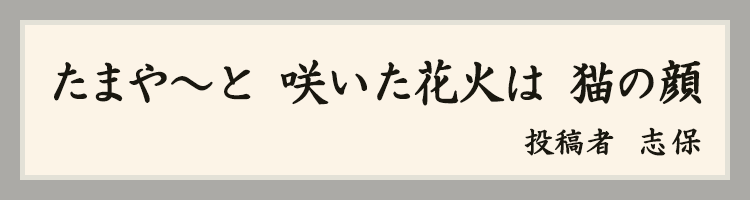 ハットにゃん賞