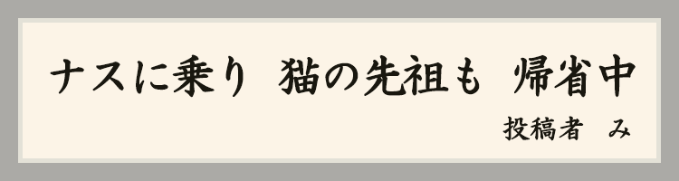 ハットにゃん賞