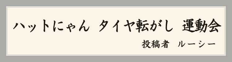 ハットにゃん賞