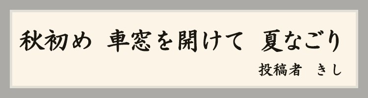 ハットにゃん賞