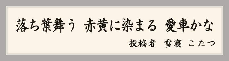ハットにゃん賞