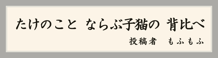 ハットにゃん賞
