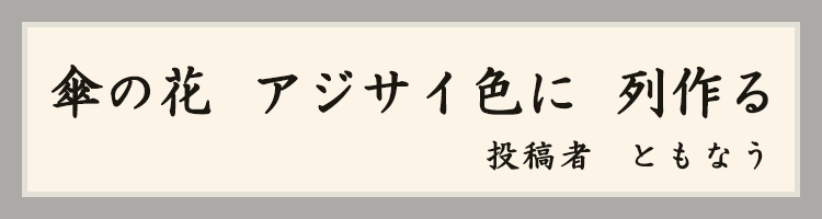 ハットにゃん賞